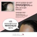 라인헤어 이미지