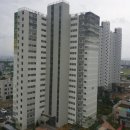 우두lh 천년나무3단지 이미지