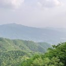 갓바위2농장 이미지