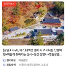 산들여행사 | (영월/정선) 무박 강원도 뚜벅이 버스투어여행 : 태백선열차 타고 단풍여행 (굿모닝여행사 실제후기)