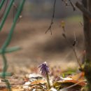 구암농장 이미지