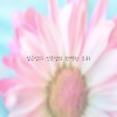 든든한내과의원 이미지