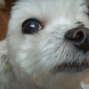 잠실프라자약국 이미지