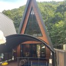 별을 담은 숲 이미지