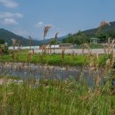 숲속계곡 이미지