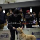 로이 이미지