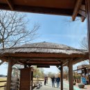 베짱이정원 이미지