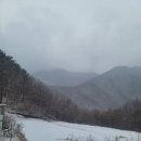 유태네 농장 | 2024 영알8봉 인증 스타트! 간신영으로 힘차게 출발~