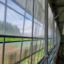 송광농장 이미지