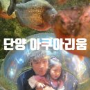 단양 다누리아쿠아리움 후기 | 아이와 가볼 만한 곳, 생각보다 만족도가 높았던 실내 여행지