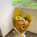 더피우리 이미지