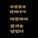 야합(野合)으로 태어난 공자 이미지