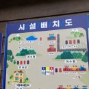 왕대민박 | 캠핑장리뷰 - 여수 자매로캠핑장 전경, 사이트소개 등 약간의 정보와 솔직 후기