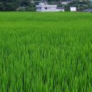 중동2리 이미지