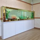 군산중앙유치원 이미지