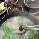 삼시세때돼지국밥산동점 이미지