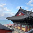 부산면관 용궁사본점 | 부산 해동용궁사, 바다 풍경과 어우러진 사찰