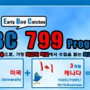 미국 New York University + 캐나다 TOEIC/TOEFL/IELTS/Business (3개월) = 799 만원 이미지