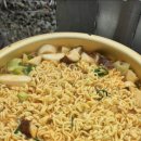 사지목 나무그늘 이미지