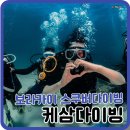 보라카이 스쿠버다이빙 후기｜처음 해본 다이빙인데 기대 이상이었다