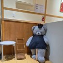 든든덮밥&곱도리탕(양주옥정점) | 양주 맛집 <초이다이닝 양주옥정> 마제소바 연어후토마끼 등심카츠