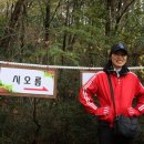 이디오젠 Daum카페