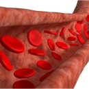 (주)에이치글로벌 이미지