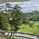 숲사이길펜션 | 평창 단체로 여행하기 좋은 숲사이길펜션