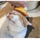 아이조아 요양보호소 경기광주 이미지