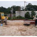 피그빌 1 이미지