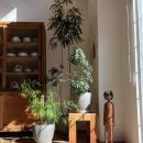 북유성대로(유성-28) 이미지