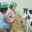 달성2차4로 이미지