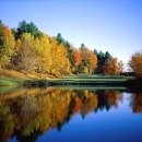 이좋은세상 이미지