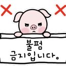 북경 선재도 본점 이미지