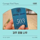 나무호텔 | 경주여행 버스터미널 근처 호텔 나무 트윈룸 숙박후기