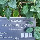 곡성-195 이미지