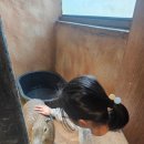 광명로 323번길 네이버블로그