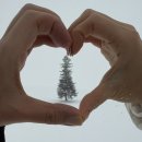 비에이비 | 4박 5일 삿포로 여행 / 2일차 : 비에이비투어(마이리얼트립 예약, 삿포로베이스캠프), 준페이(도시락X...