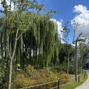 배곧생명공원 이미지