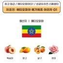 허니빈스 | [에티오피아 예가체프 아라차 &amp; 코케허니 G1] 빈앤빈스 커피원두 내돈내산 후기