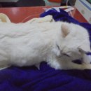 금정동주민센터 이미지