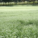 이효석농장 이미지