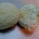 화천방앗간 이미지