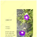 일상의 쉼표, 디카시 - 디카시집을 전자책으로 출판하다 | [e Book] 《꽃 마중 가는 길》, by 윤필교