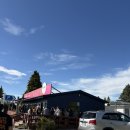 캐슬 | 뉴질랜드 남섬 캐슬힐 후기 (feat.동굴, 파이맛집)