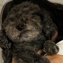팔도실비집천내점