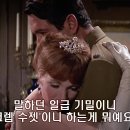 밀애 ( Darling Lili , 1970 ) 이미지