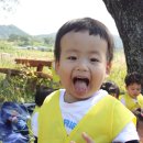 하대어린이집 이미지