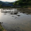 신덕마을 이미지