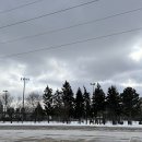 강산분식 | 캐나다(토론토) 워홀 일기(2026.01)